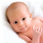 ドラゴンの年に生まれた子供たち:第1部 ドラゴンの年に生まれた子供たち:第1部