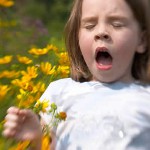小児における花粉症:花粉に対するアレルギー 小児における花粉症:花粉に対するアレルギー