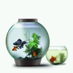水族館はどのように清掃されていますか？