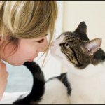 猫の腫瘍