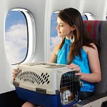 飛行機での動物の輸送 飛行機での動物の輸送