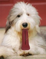 なぜ犬のおもちゃが必要なのですか？