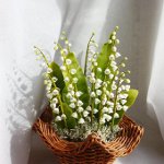 冷たい磁器の花 冷たい磁器の花
