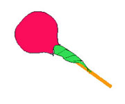 お菓子の花