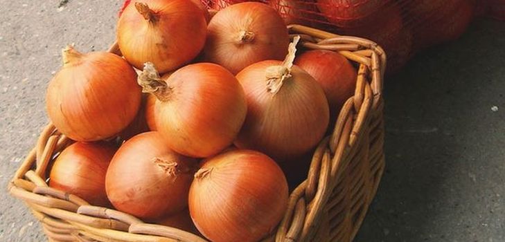 冬の家庭でのタマネギの貯蔵