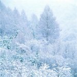 冬を撮影するには? 冬を撮影するには?