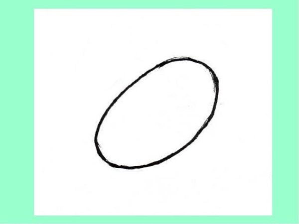 鉛筆で段階的に鳥を描く方法