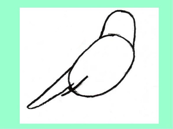 鉛筆で段階的に鳥を描く方法