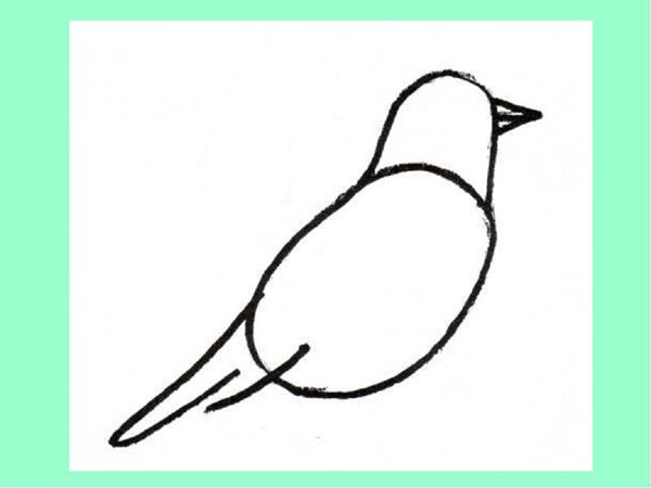 鉛筆で段階的に鳥を描く方法