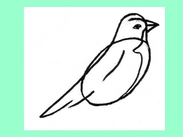 鉛筆で段階的に鳥を描く方法