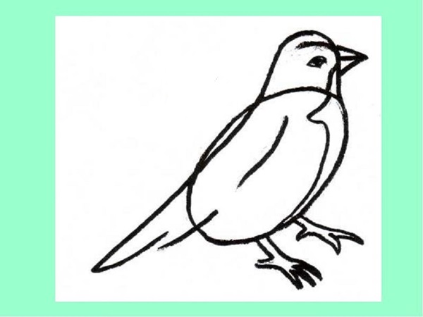 鉛筆で段階的に鳥を描く方法