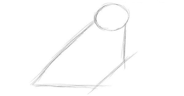 鉛筆で段階的に鳥を描く方法