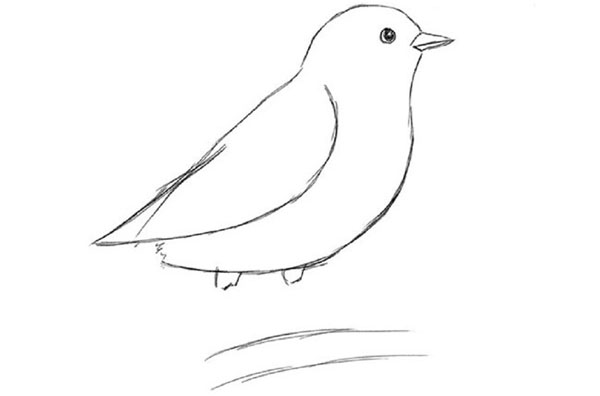 鉛筆で段階的に鳥を描く方法