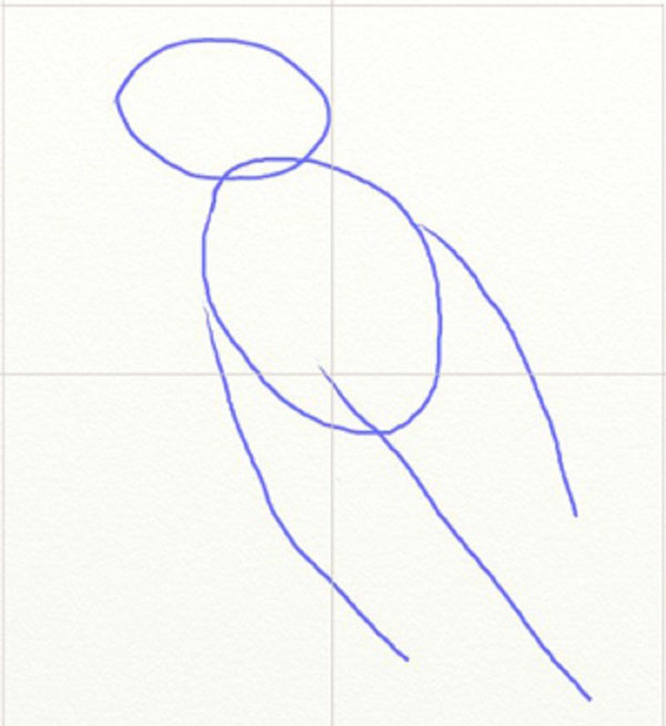鉛筆で段階的に鳥を描く方法