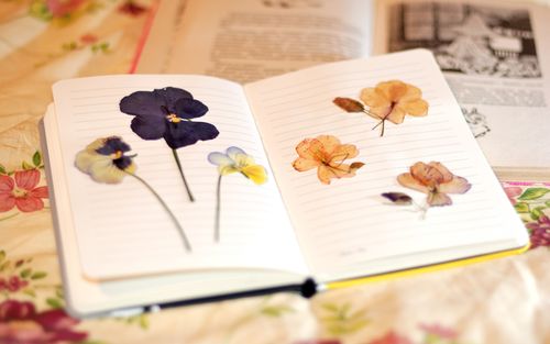 植物園の花を乾かす方法