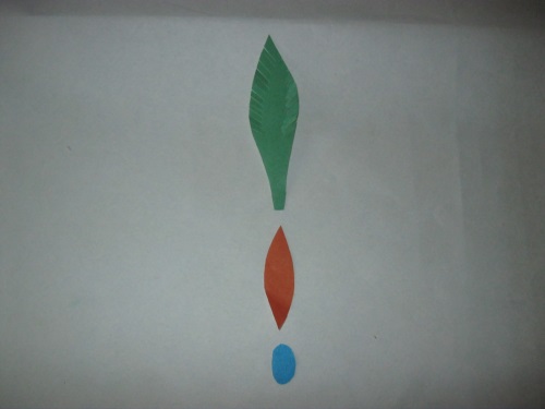 着色された紙で作られたすばらしい孔雀