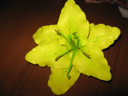 マスタークラスfameiranaから花を作る方法。家族の手からのリリア、ステップバイステップの写真、ビデオ