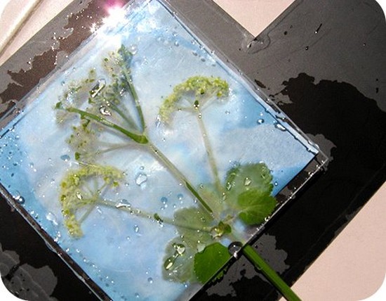 自分の手でハーバリウムと彼のためのアルバムを作ることを学ぶ