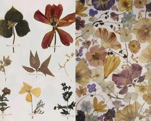 葉の植物園を作る方法