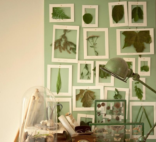 葉の植物園を作る方法