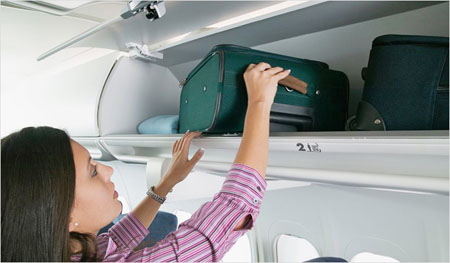 あなたは飛行機であなたと一緒に何を取ることができますか？