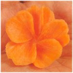 野菜や果物の彫刻
