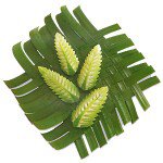 野菜や果物からの彫刻？