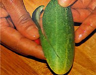 野菜や果物からの彫刻？