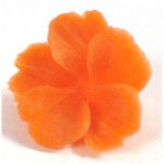 野菜や果物からの彫刻？