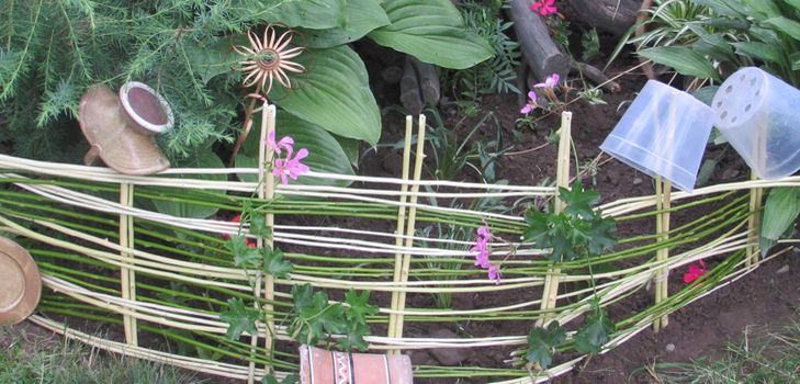 あなた自身の手でぶどうの花壇