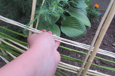 あなた自身の手でぶどうの花壇
