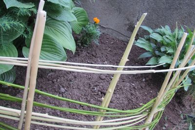 あなた自身の手でぶどうの花壇