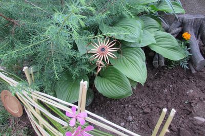 あなた自身の手でぶどうの花壇