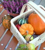 庭師やトラックの農家のための2012年10月の暦