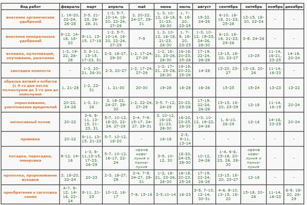 2015年8月の園芸園芸師の旧暦