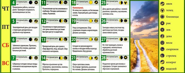 モスクワ地域、ロシア中部、ウラル、シベリア、北西、ベラルーシ、ウクライナの2016年8月の月のカレンダートラック農家 モスクワ地域、ロシア中部、ウラル、シベリア、北西、ベラルーシ、ウクライナの2016年8月の月のカレンダートラック農家