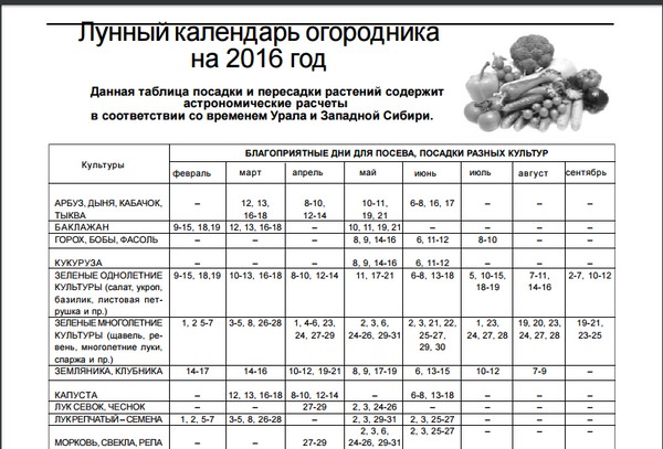 モスクワ地域、ロシア中部、ウラル、シベリア、北西、ベラルーシ、ウクライナの2016年8月の月のカレンダートラック農家 モスクワ地域、ロシア中部、ウラル、シベリア、北西、ベラルーシ、ウクライナの2016年8月の月のカレンダートラック農家