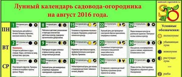 モスクワ地域、ロシア中部、ウラル、シベリア、北西、ベラルーシ、ウクライナの2016年8月の月のカレンダートラック農家 モスクワ地域、ロシア中部、ウラル、シベリア、北西、ベラルーシ、ウクライナの2016年8月の月のカレンダートラック農家