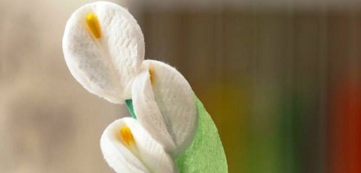 写真付きコットンディスクマスタークラスからのお母さんの花への贈り物 自分の手で綿毛からの花