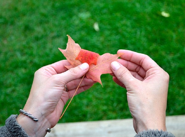 「秋」のテーマの葉の工芸品