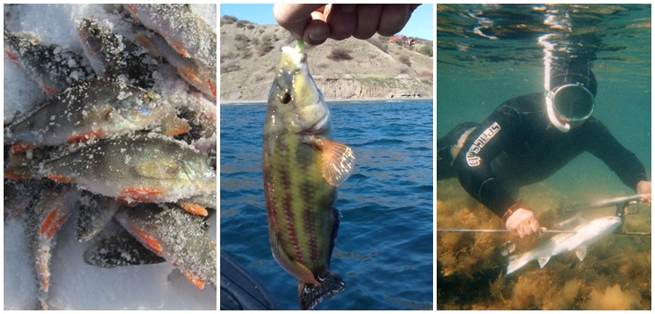 大小の魚：クリミアでの釣りに最適な場所