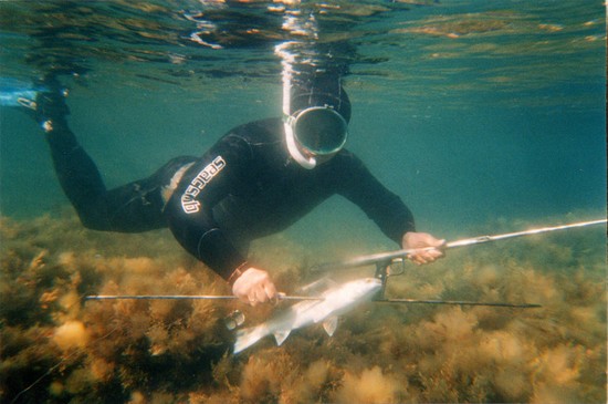 大小の魚：クリミアでの釣りに最適な場所