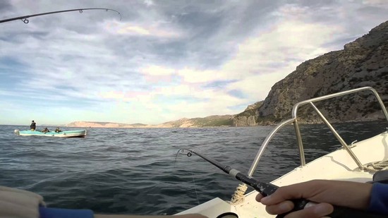 大小の魚：クリミアでの釣りに最適な場所