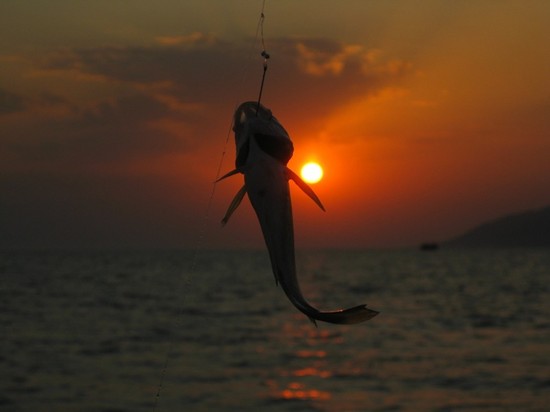 大小の魚：クリミアでの釣りに最適な場所