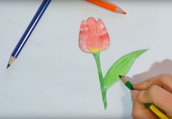 自分の手で母の日に描く：鉛筆、塗料、幼稚園、学校