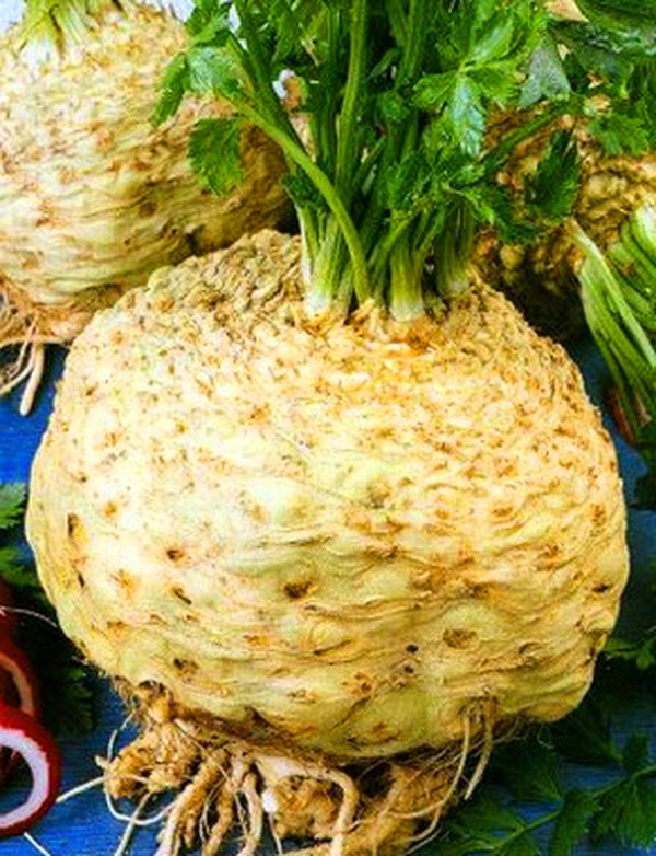セロリ：開墾地と温室のための栽培と最も興味深い品種