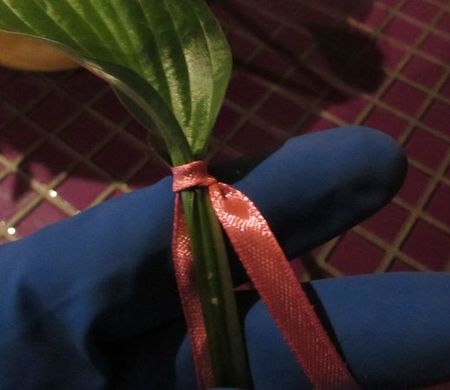 自分の手で結婚式の花束