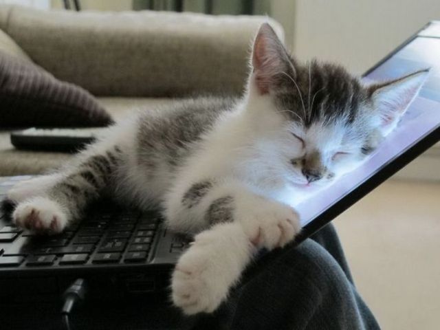 Windows 7でスリープモードをオフにする方法