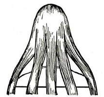 どのように鎌を編むのですか? どのように鎌を編むのですか?