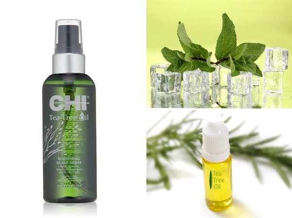 夏の保湿：ヘアケアのコレクションSHI Tea Tree Oil